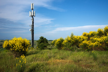 Obraz premium repeater i natura