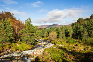 Autumn day in Scotland-12.dng