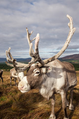 Autumn day in Scotland-57.dng