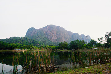 Elephant Same Mountain,Wild nature Near lagoon forest prolific ,Tropical zone at Phang Nga National Park,Thailand in the morning