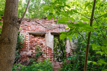 Ensemble of Yaroslavl Big manufactory of 18-19 century. Old building. The ruins of the almshouse and factory buildings among the thickets of trees