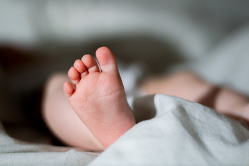 newborn baby feet
