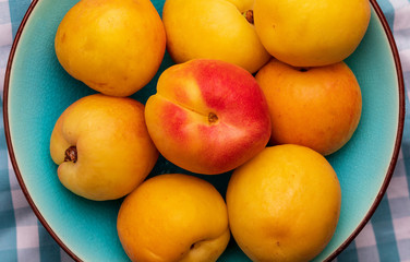 Fresh apricots (moniquis, coques). Rustic appearance.