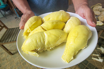 Asian farmers holding peeled durians, Put a delicious white dish, a king of fruits in Thailand and Asian fruits, shell and sweet can be bought at Thai street food and fruit markets at the farm.