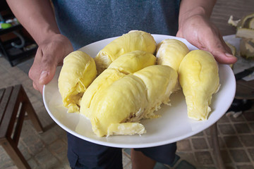 Asian farmers holding peeled durians, Put a delicious white dish, a king of fruits in Thailand and Asian fruits, shell and sweet can be bought at Thai street food and fruit markets at the farm.