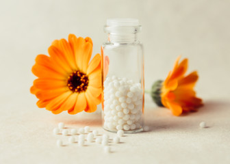 Calendula officinalis, the pot marigold, ruddles, common marigold or Scotch marigold with white...