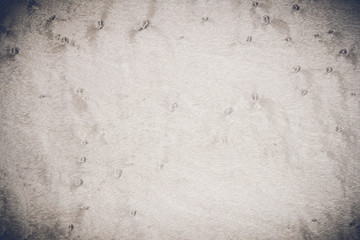 wood texture background surface with old natural pattern