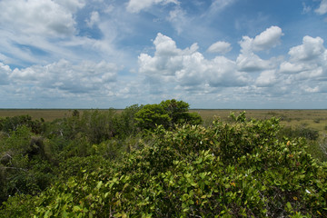 Fototapeta na wymiar LandScape photography taken in Holbox, Mexican Island