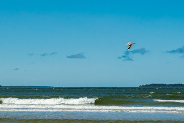 Beautiful sandy beach Yyteri at summer, in Pori, Finland