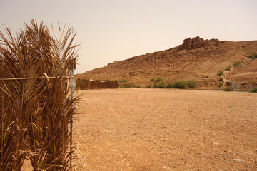Plaża nad Morzem Czerwonym Jordania © Ewa
