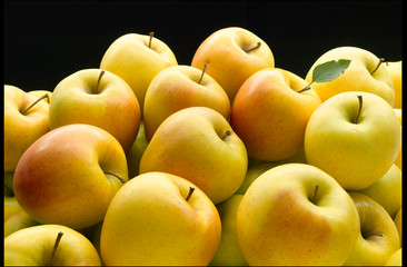  Fruta, manzanas golden sobre fondo negro. Fruit, golden apples on black background.