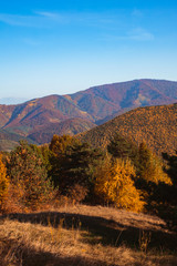 autumn landscape on sunny day