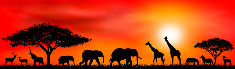 Fototapeta na wymiar Savanna animals on a background of a sunset sun.Silhouettes of wild animals of the African savannah. African landscape with animals and trees at sunset 