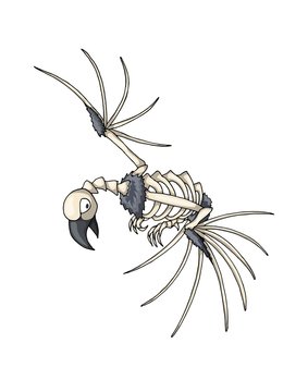 recommend clip art: Bird skeleton. Isolated vector object on white background