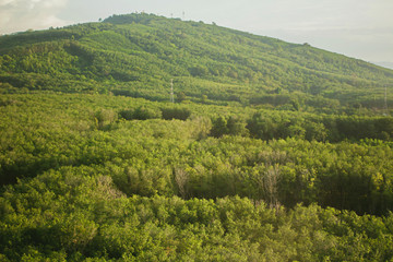 Obraz premium High angle view, near the sea, refreshing tropical area.,Is landing at Phuket International Airport Thailand.