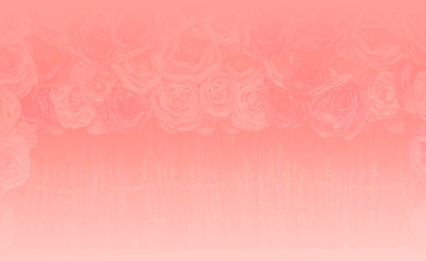 Background of roses, compared with the orchestra, the arrangement of bright white tone cleared.