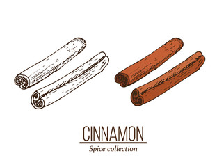 Spice collection, cinnamon sticks hand drawn