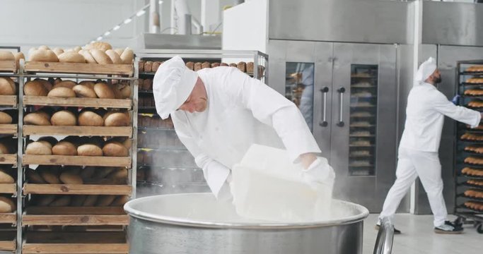 Good looking old baker preparing the dough add the flour in a industrial container background workers moving and transported the bread shelves in other section