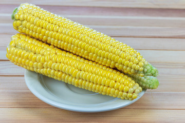boiled sweet corn in a plate
