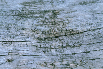 Vintage old wood background texture. Selective focus.Workpiece for design