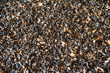 Sunflower seeds in storage