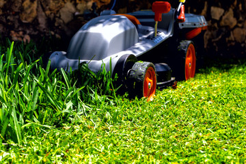 The mower on a grass.
