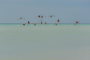 Beautiful Wide Angle Panoramic Photography Taken in the Beautiful Mexican Island, Holbox 