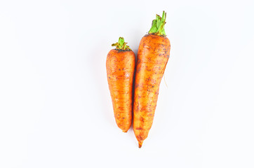 Two fresh carrots isolated on white background. The view from the top. Organic food background.