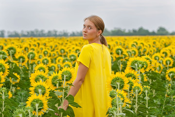 Naklejka na ściany i meble Woman in yellow dress in sunflower field