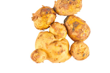Fresh white potatoes isolated on white background. The view from the top. Organic food background.