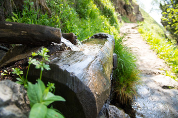 Frisches Quellwasser fließt in einen Holzstamm
