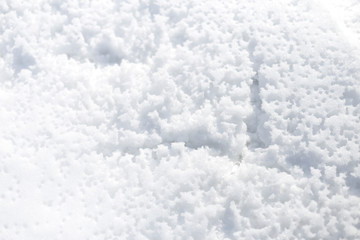 Fototapeta premium Snow in the park bright sunny happy winter day. There are traces of rain on the snow. Background.