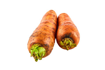 Fresh carrots on white background. Background of organic food.