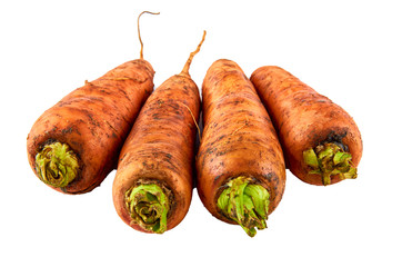 Fresh carrots on white background. Background of organic food.