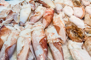 Fresh squid on ice at the market stall
