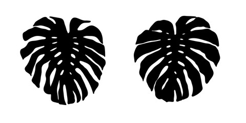 Set of silhouettes of monstera leaves