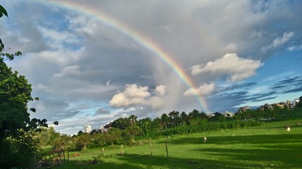 rainbow over field