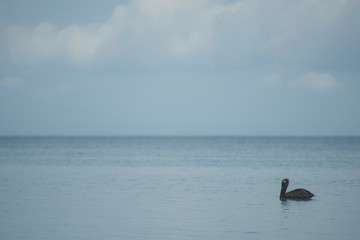 Beautiful Wide Angle Panoramic Photography Taken in the Beautiful Mexican Island, Holbox 