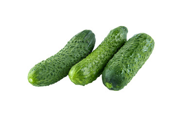Fresh cucumbers isolated on white background. Background of organic food.