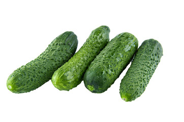 Fresh cucumbers isolated on white background. Background of organic food.