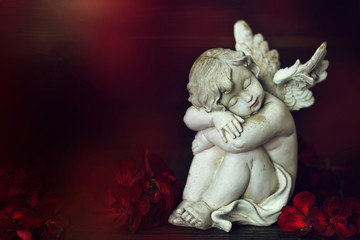 Angel and red flowers on dark background with copy space