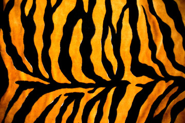background texture coloring tiger skin