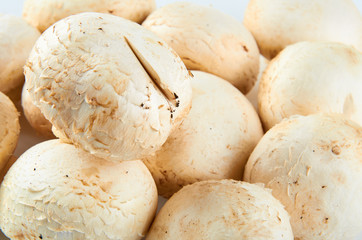 Fresh champignons isolated on white background. Background of organic food.