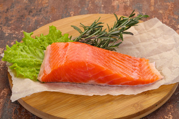 Piece of raw salmon
