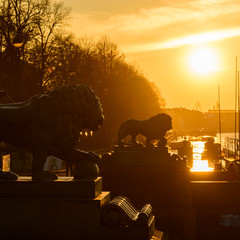 Stone lions at sunset. St. Petersburg Admiralteyskaya Embankment.