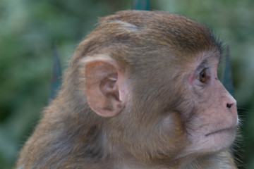 Annapurn circuit Nepal in October 2018 