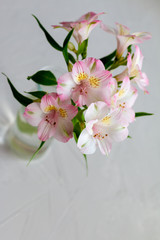 Alstroemeria pink flowers bouquet with space for text, template for postcard