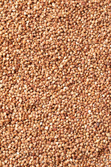 Organic buckwheat close up and top view, food background with space for text