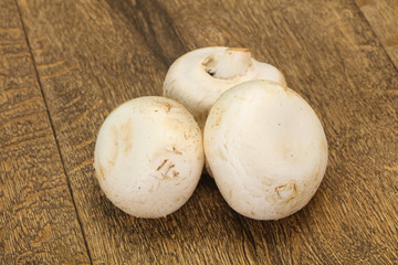 Raw Champignon heap for cooking