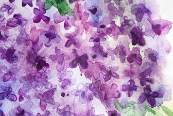 Decorative background of stylized lilac flowers. Symbol of happiness, nostalgia, first love, innocence, luck. Handdrawn water color sketchy drawing on white backdrop for artistic design decoration.